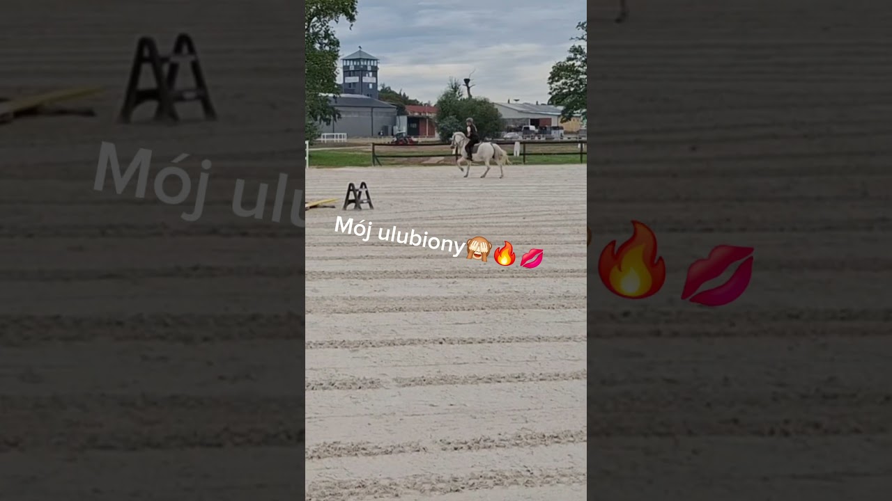 trch się zmieniło..🙈😼#wybijesie #horse #wraca #equestrian #jaszkowo #daily #horse