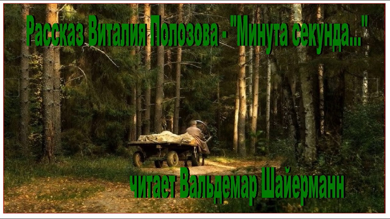 Рассказ Виталия Полозова - 