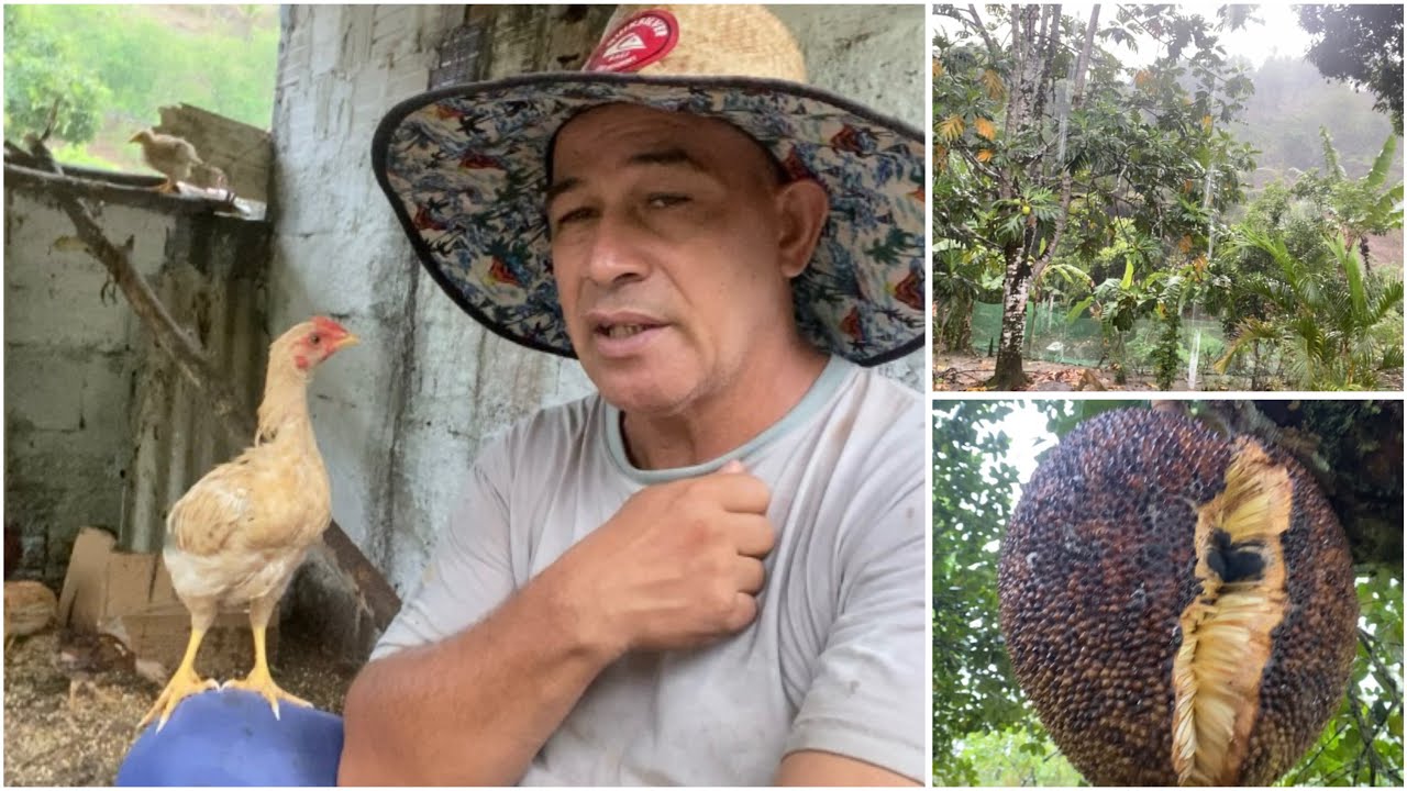 O video tá maravilhoso pessoal a chuva chegou no nordeste.