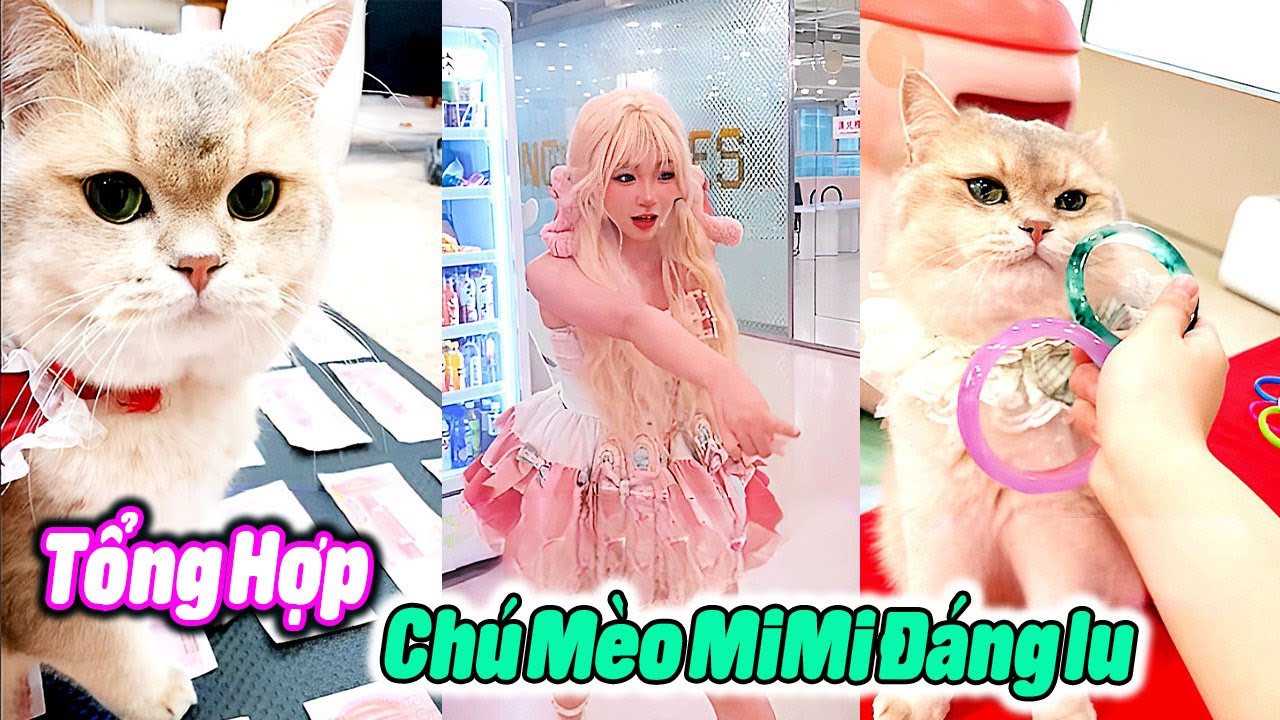 Tổng Hợp Ch&uacute; M&egrave;o MiMi Đ&aacute;ng Iu P21 😍#th&uacute;cưng #vậtnu&ocirc;i #ch&oacute;m&egrave;oh&agrave;ihước #funny #pets #cat #cute #cutecat