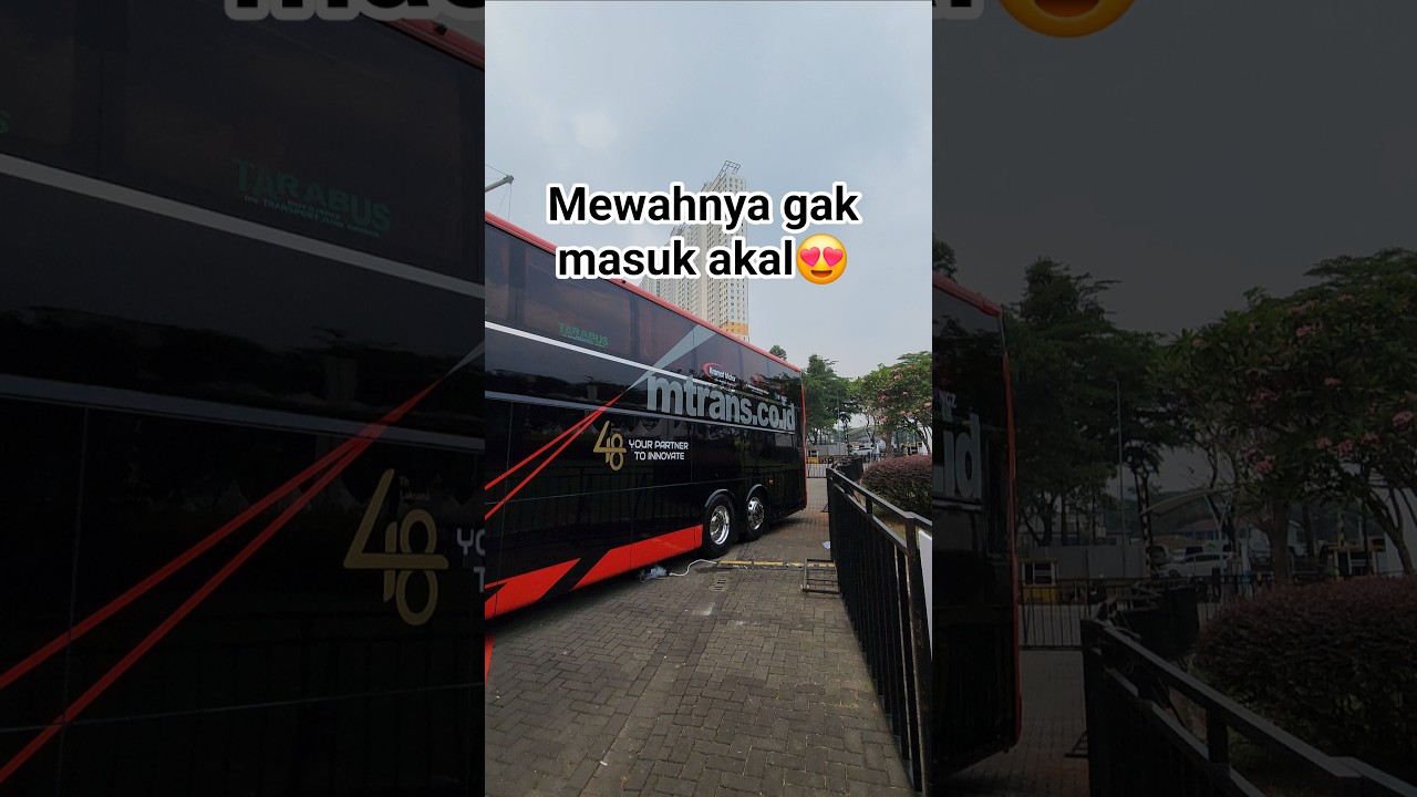 MEWAH NYA GAK MASUK AKAL🤩, UNIT TERBARU MTRANS #mtrans #busindonesia #busmania