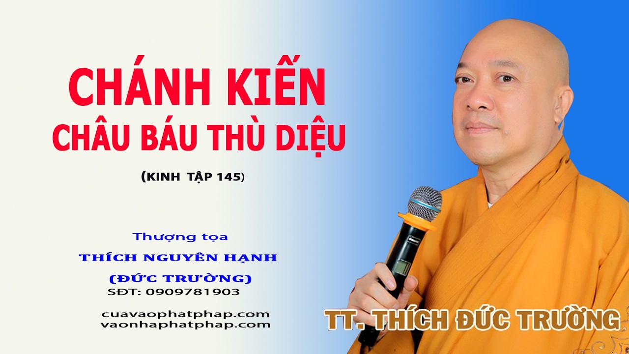 CHÁNH KIẾN CHÂU BÁU THÙ DIỆU (KINH TẬP 145) || THƯỢNG TỌA THÍCH NGUYÊN HẠNH (ĐỨC TRƯỜNG)