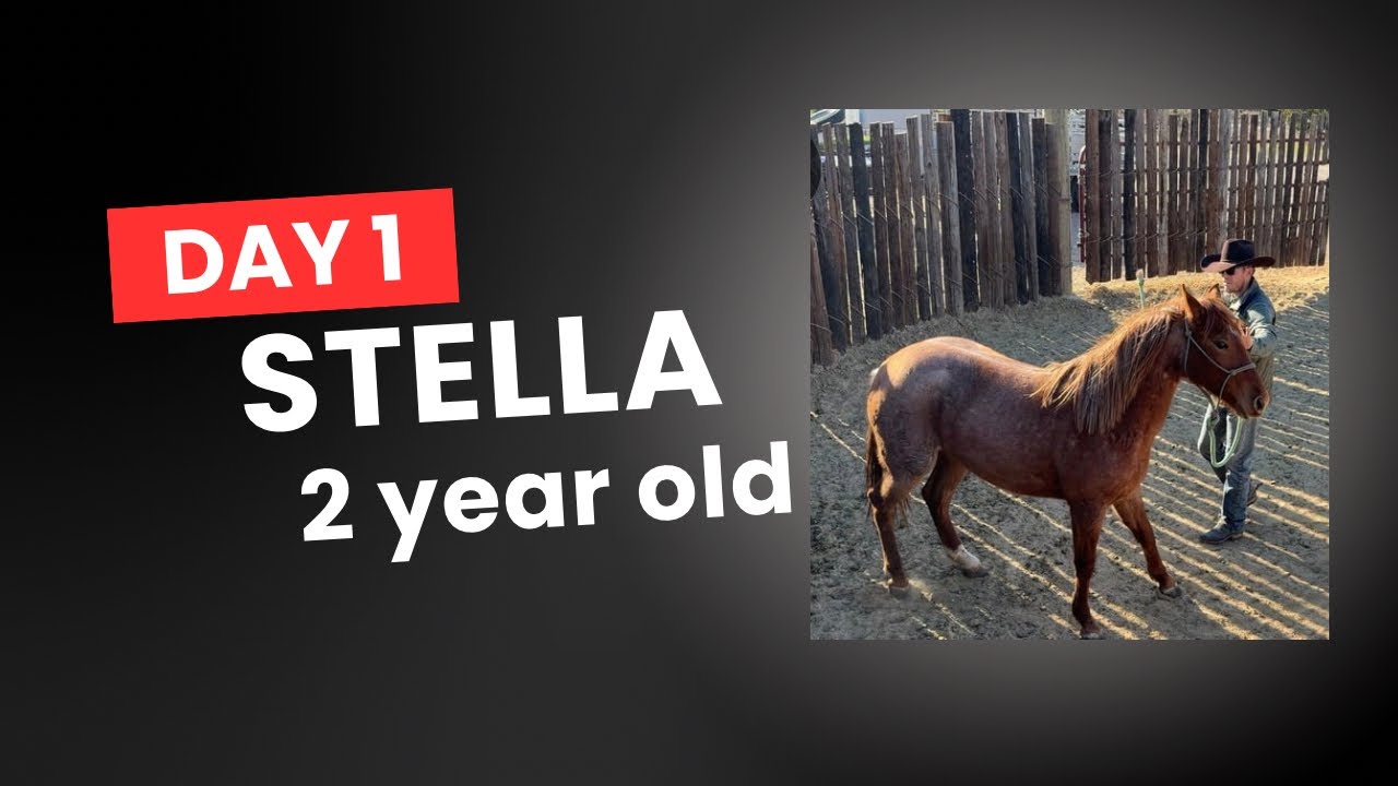 Day 1 for Stella