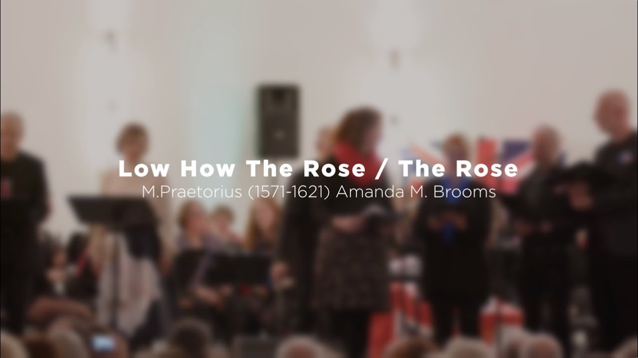 Lo, How a Rose / The Rose - Recorder Cover BON