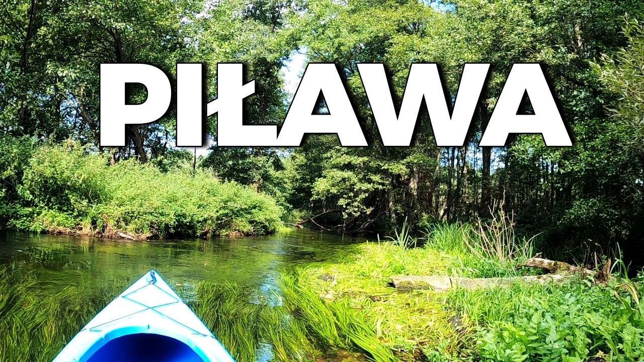 Spływ kajakowy 🚣 rzeką Piława | Kajaki ze Szwecji do Dobrzycy 4K