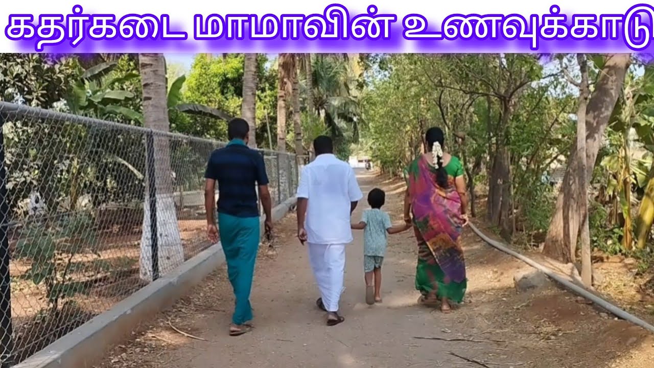 மா பலா,வாழை,நாவல்,கொய்யா மாதுளை,வாட்டர்ஆப்பிள்,ஸ்டாபெரிகொய்யா,காய்த்துக் குலுங்கும் பழமரங்கள்
