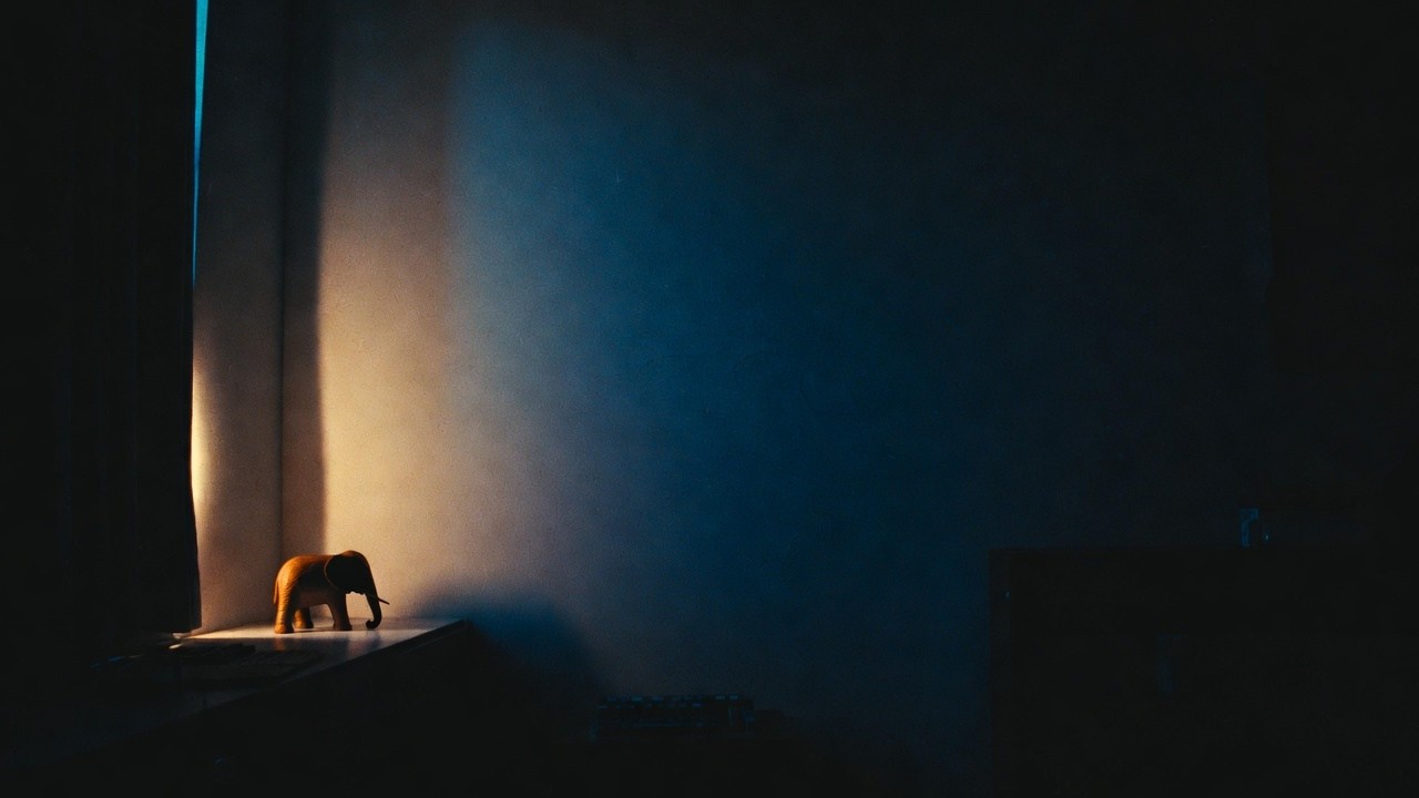 Mind Still Wandering After Midnight #43