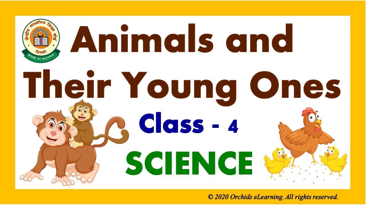 Animals and Their Young Ones| Class - 4 | SCIENCE - CBSE / NCERT | Reproduction in Animals & Birds