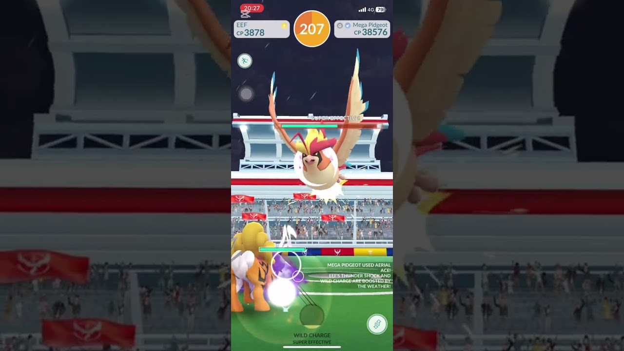 Mega Pidgeot solo raid, steel wing, aerial ace, rainy, No AE