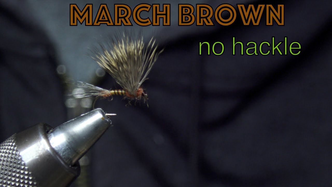 March brown , no hackle ,#pêchealamouche
