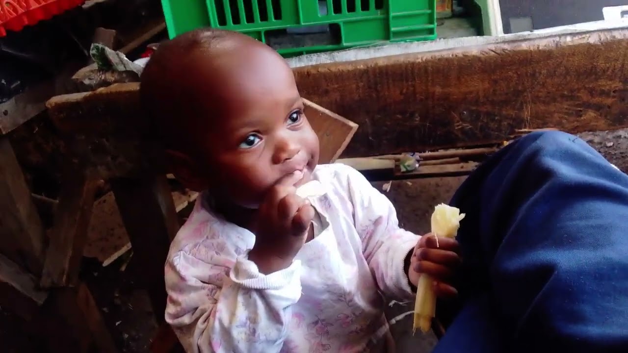 Baby Jess chewing sugarcane farm for the first time 😂😂😱😱