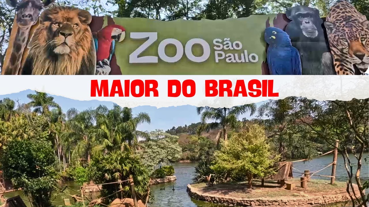 ZOOLÓGICO DE SÃO PAULO | Maior da América Latina