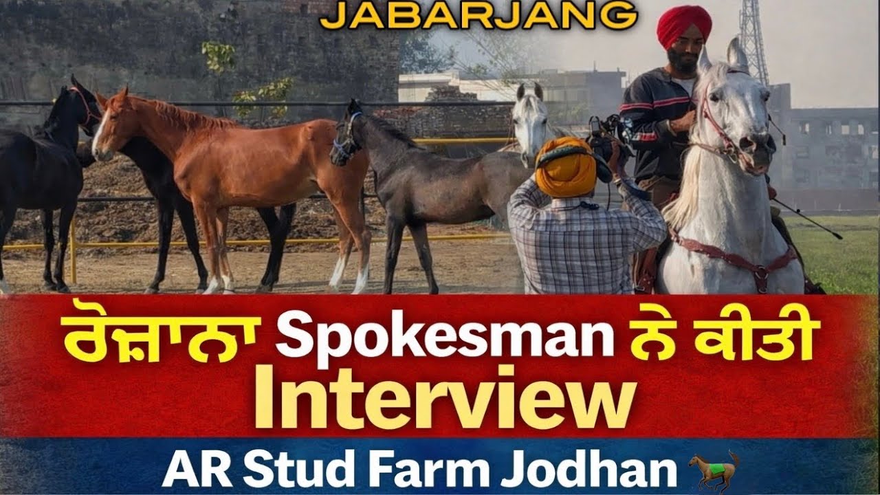 ROZANA SPOKESMAN TV Channel alya ne kiti Ghodya di Interview🐎//JABRAJANG di chal⛳️