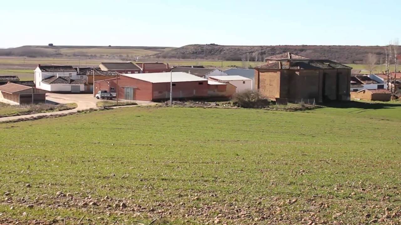 Camino de Santiago: Carrión de los Condes a Ledigos. Camino Francés, 15.
