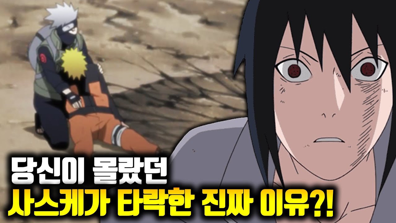 당신이 몰랐던 나루토 100가지 TMI