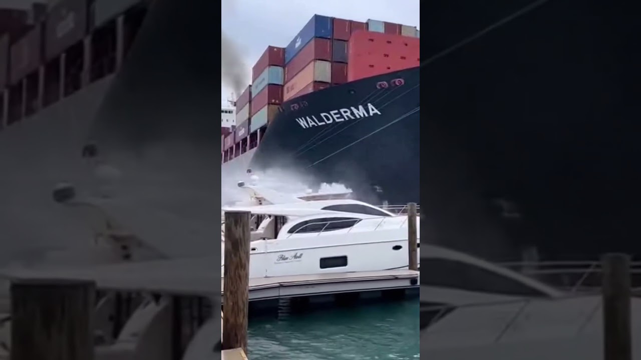 CARGO SHIP VS YACHTS: Pure Chaos!