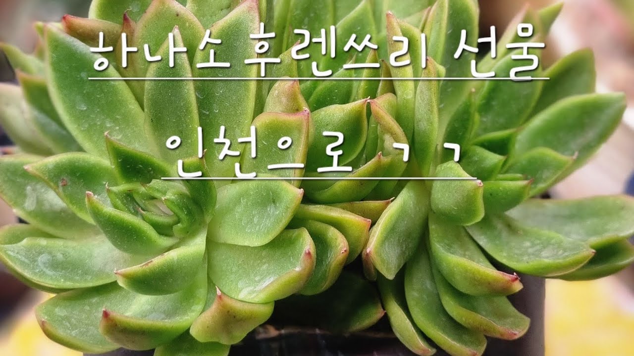 오늘은 또 어디가니~~