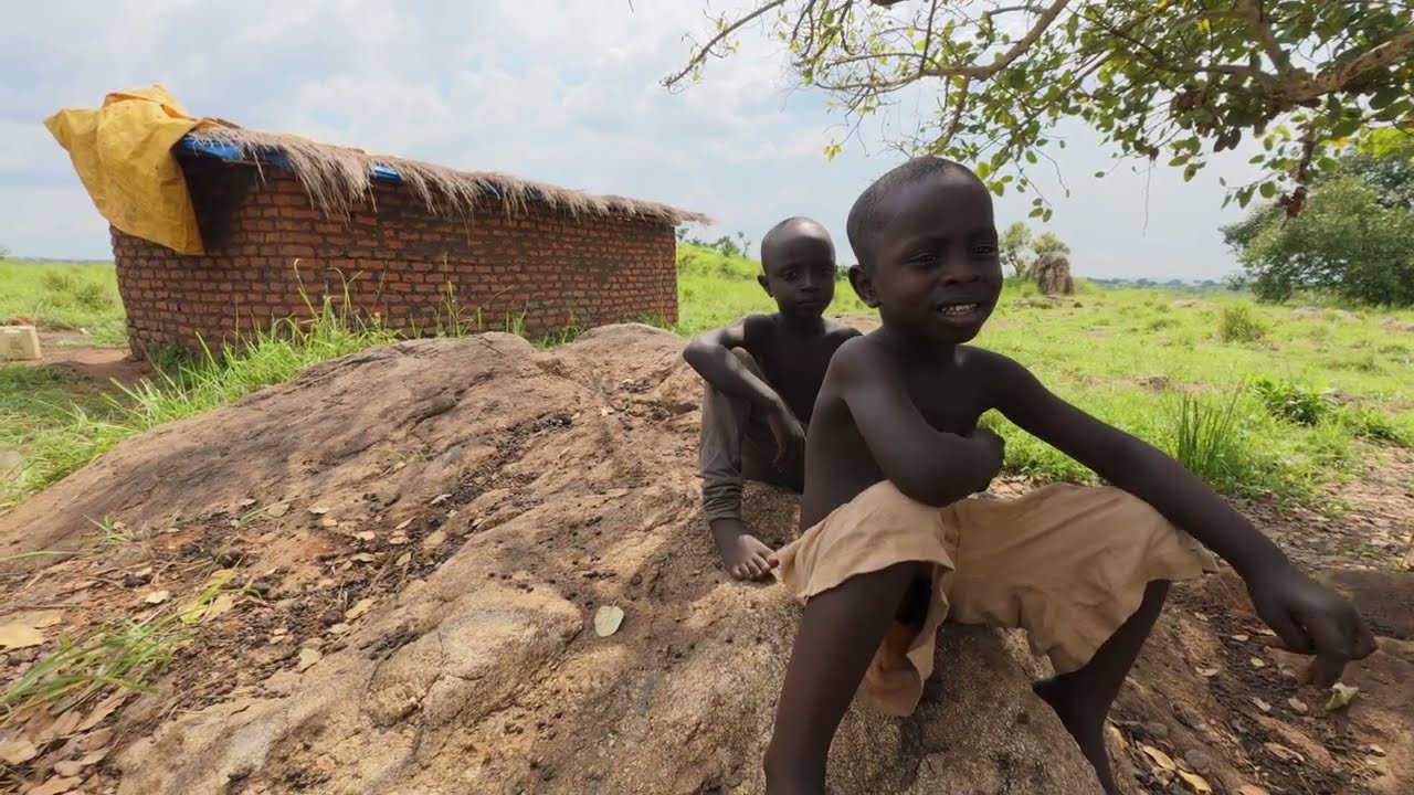 Essential oil farming in Africa 