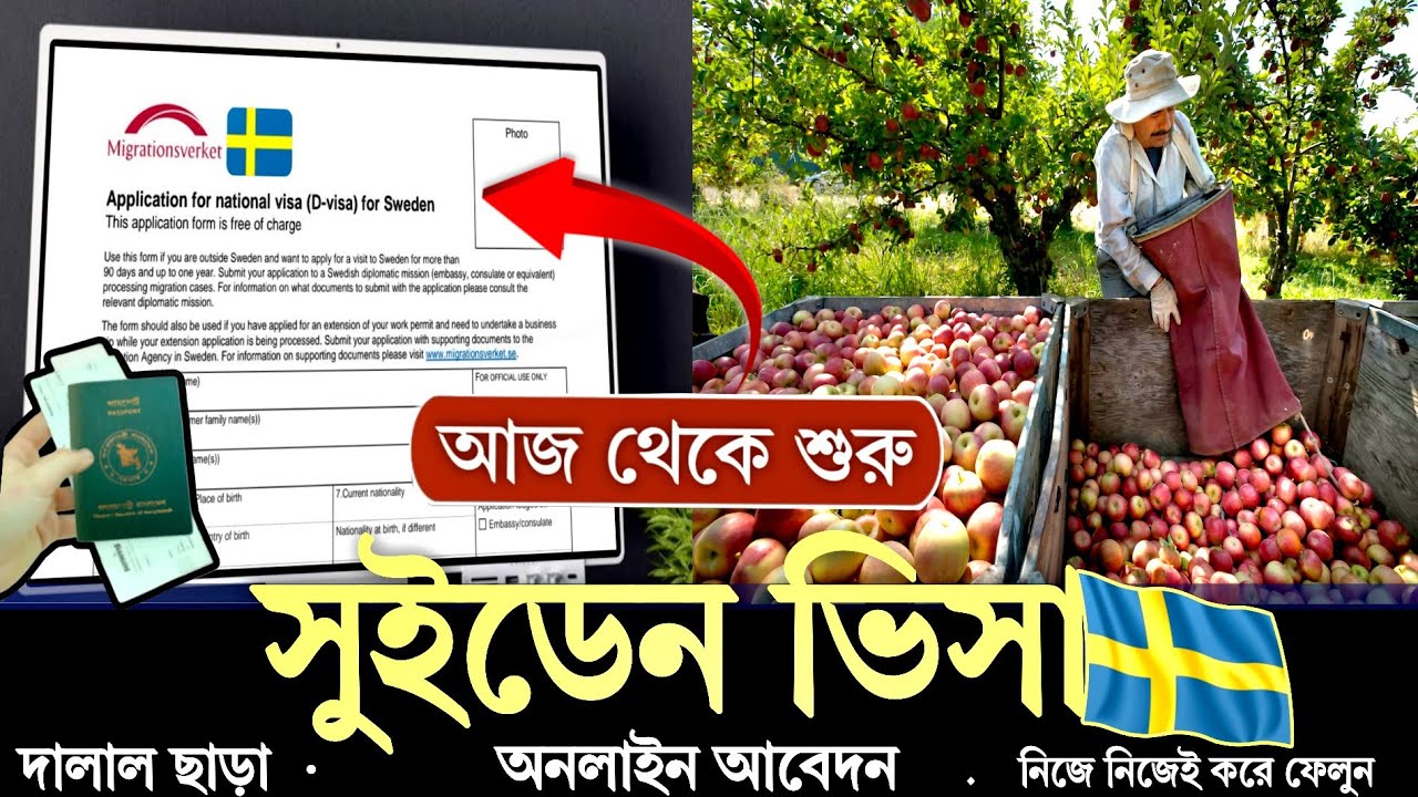 সরকারি ভাবে সুইডেনে শ্রমিক নিয়োগ আবেদন শুরু | Sweden work permit visa for Bangladeshi 2026