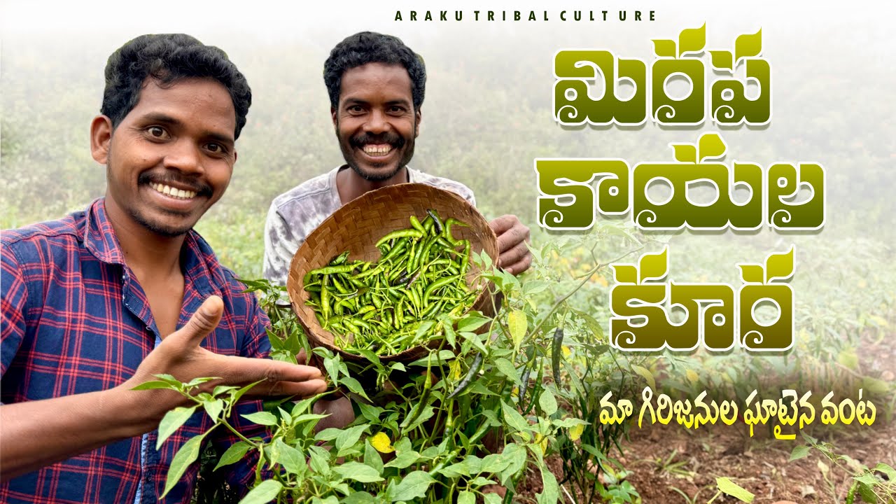 Tribal Spicy Food : మిరపకాయలతో మా గిరిజన వంట 🥵 || మేము తినే ఘాటైన వంటకం ఇదే
