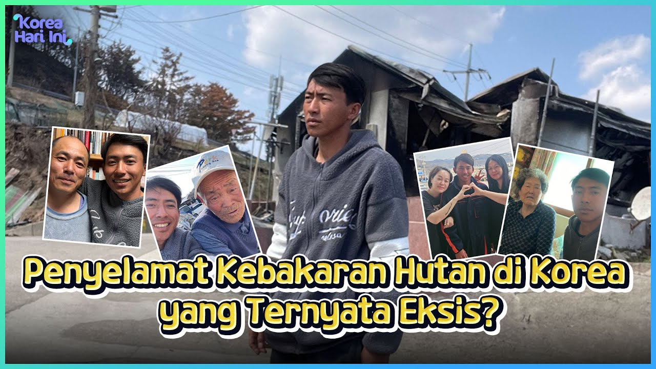 [MBTI] Sugianto, Penyelamat Kebakaran Hutan di Korea! | KOHAI 250407