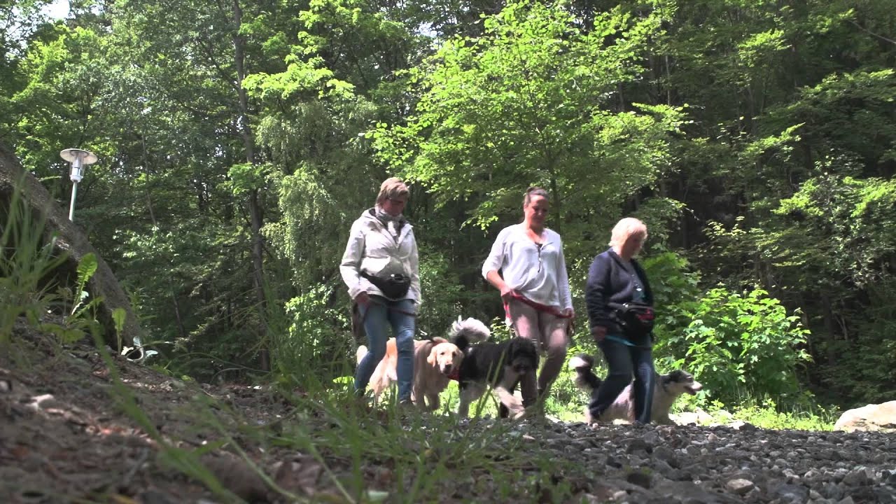 Erholsamer Urlaub mit Hund im Hotel Bergfried im Bayerischen Wald
