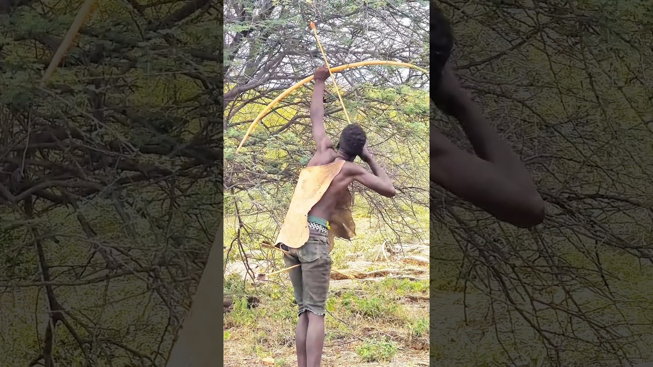 African Hunter Fires an Arrow as Monkey and Leopard Leap in the Trees.🏹🐒🐆#wildlife #hunting #money
