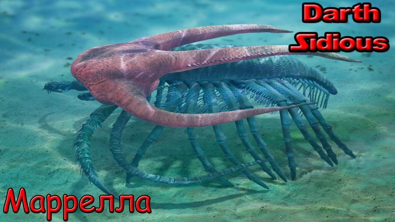 Развитие жизни на Земле (The Evolution of Life) - Маррелла (Marrella splendens)