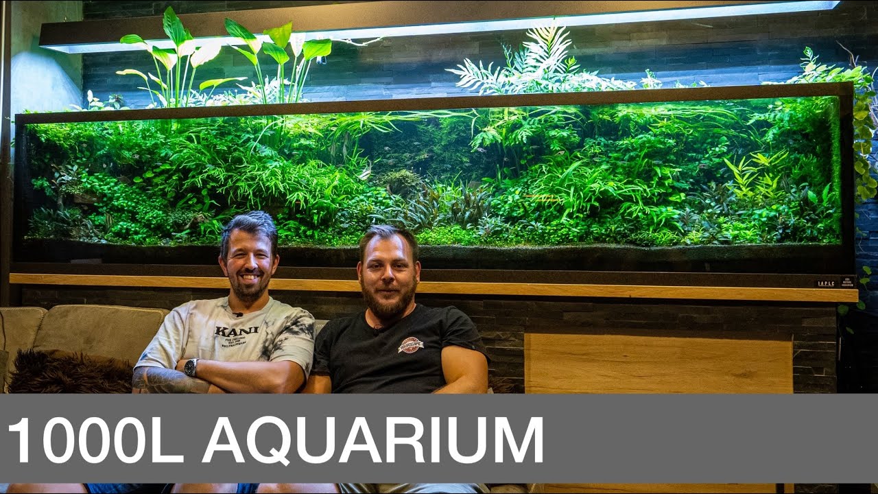 XXL Nature Aquarium - 3 Meter Aquascape | Liquid Nature on Tour