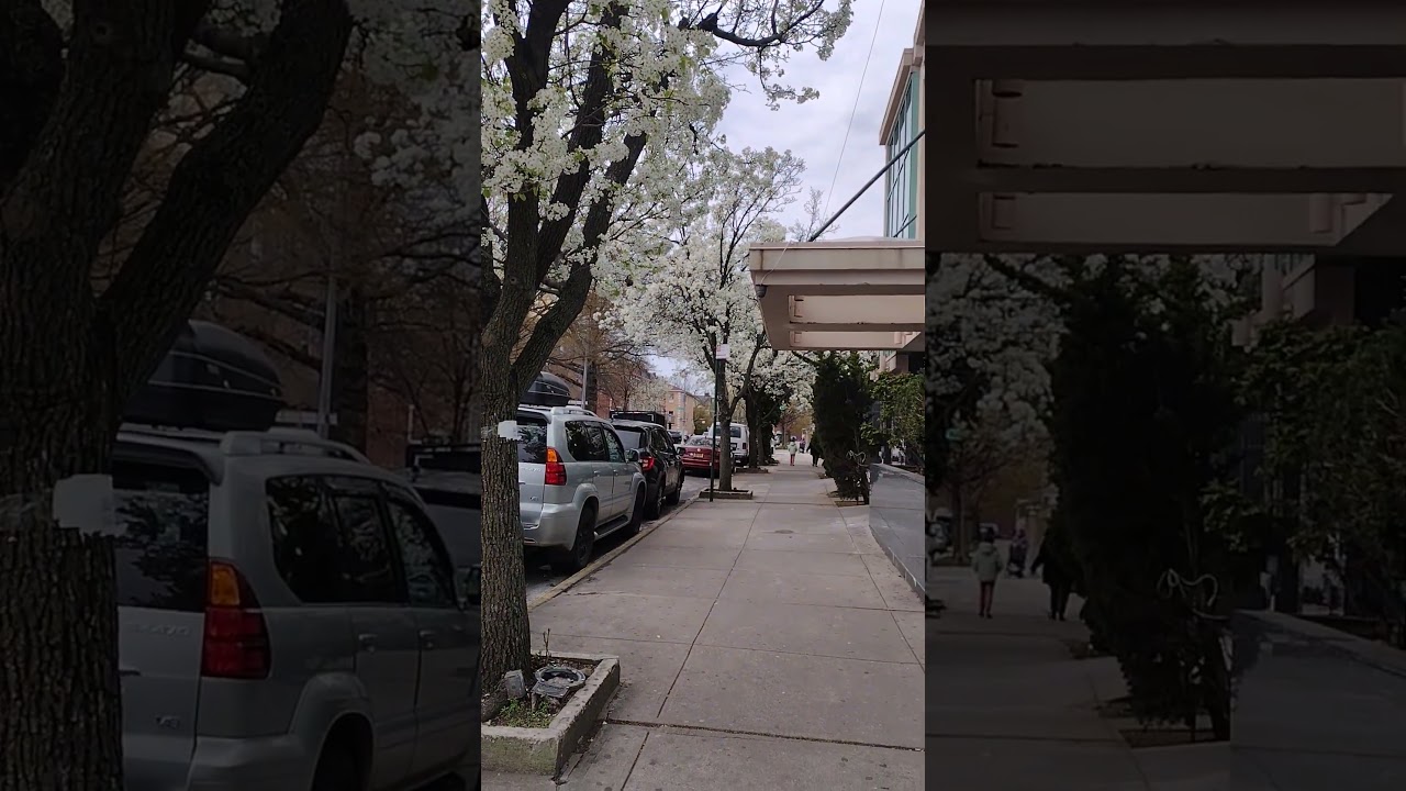 Rutherford Pl (Benson Ave.) Bath Beach. Brooklyn.