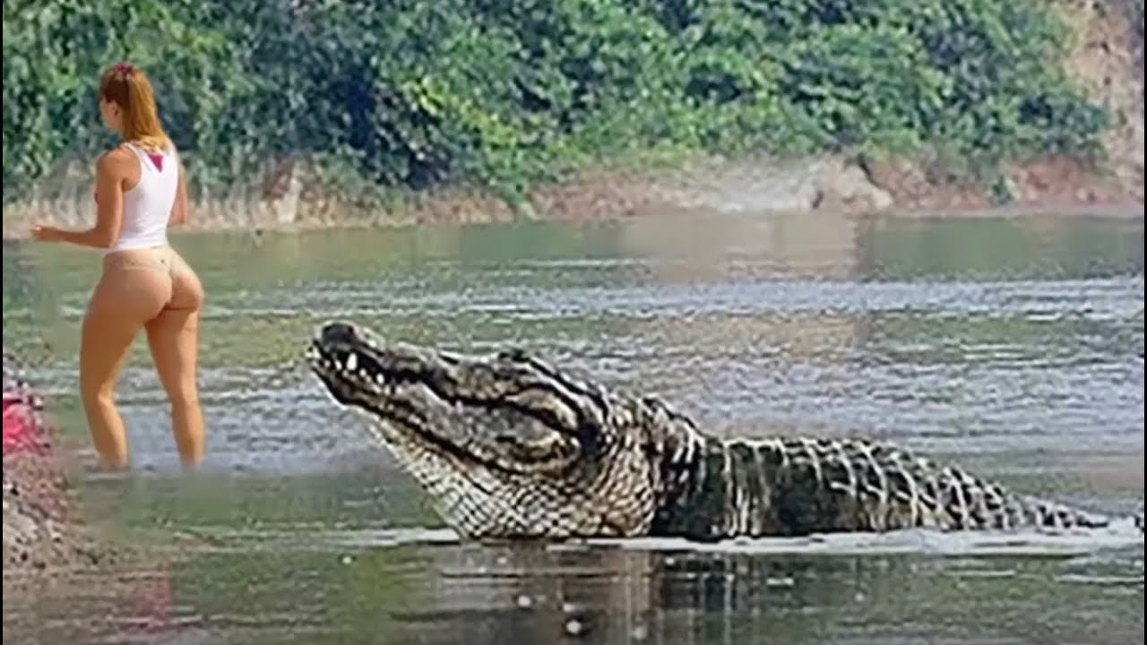 Как Такое Вообще Возможно? Эти Случаи С Животными Повезло Снять