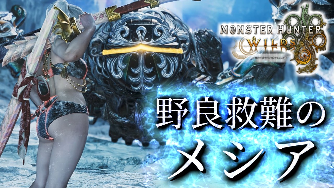 【MHWilds】零式オメガを屠る野良救難のメシア【モンハンワイルズ】【PR】