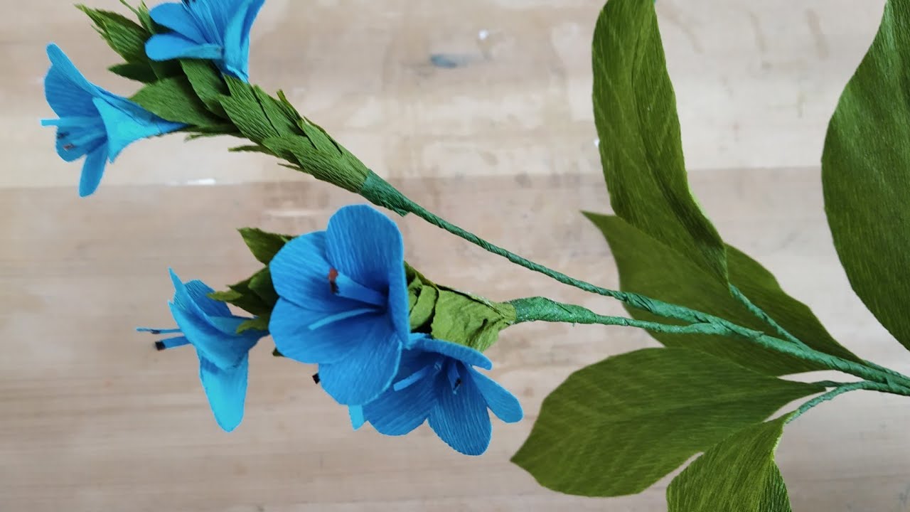 DIY Crepe paper flowers Eranthemum