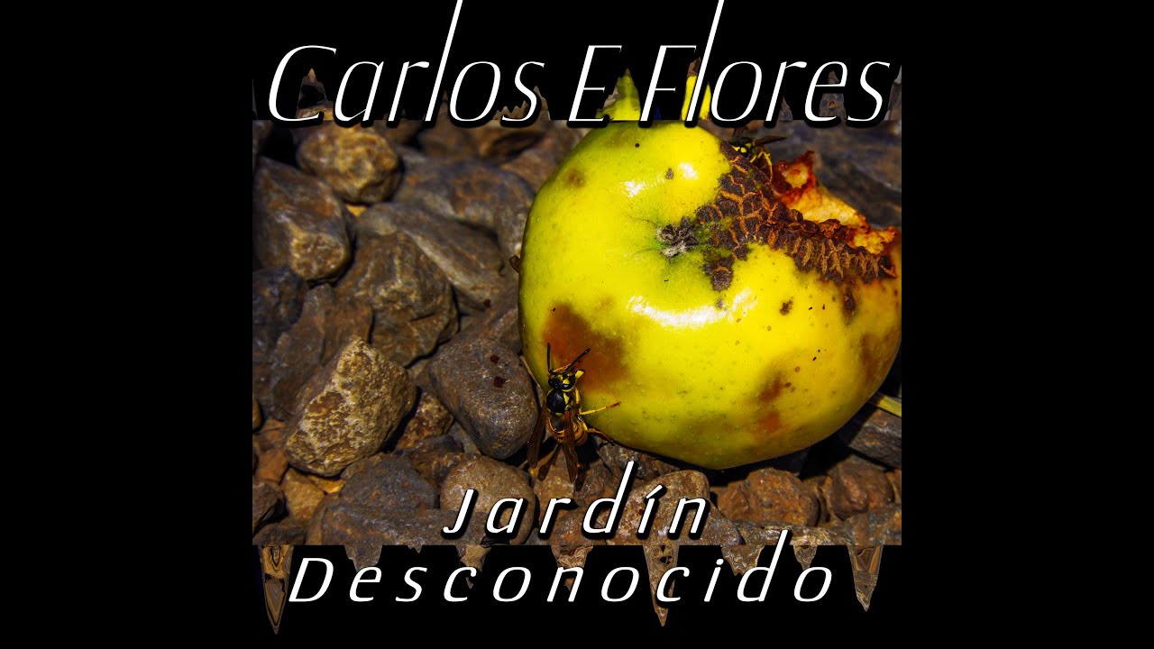 Carlos E  Flores - Jardín Desconocido