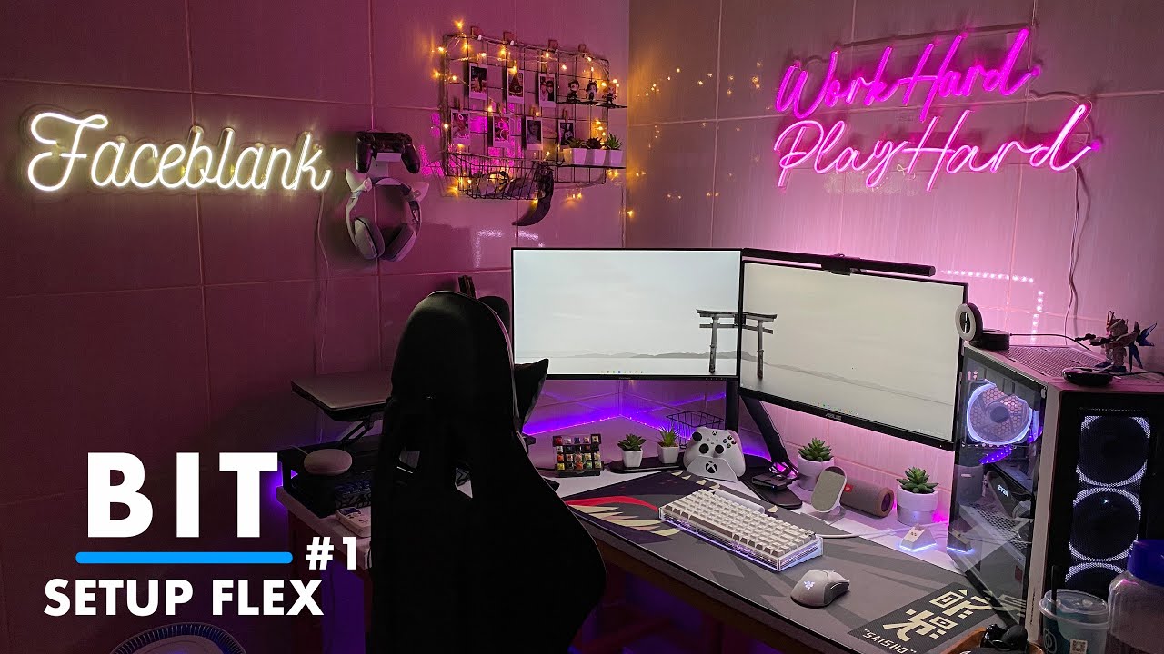Episode PERDANA!! BIT Setup FLEX #01