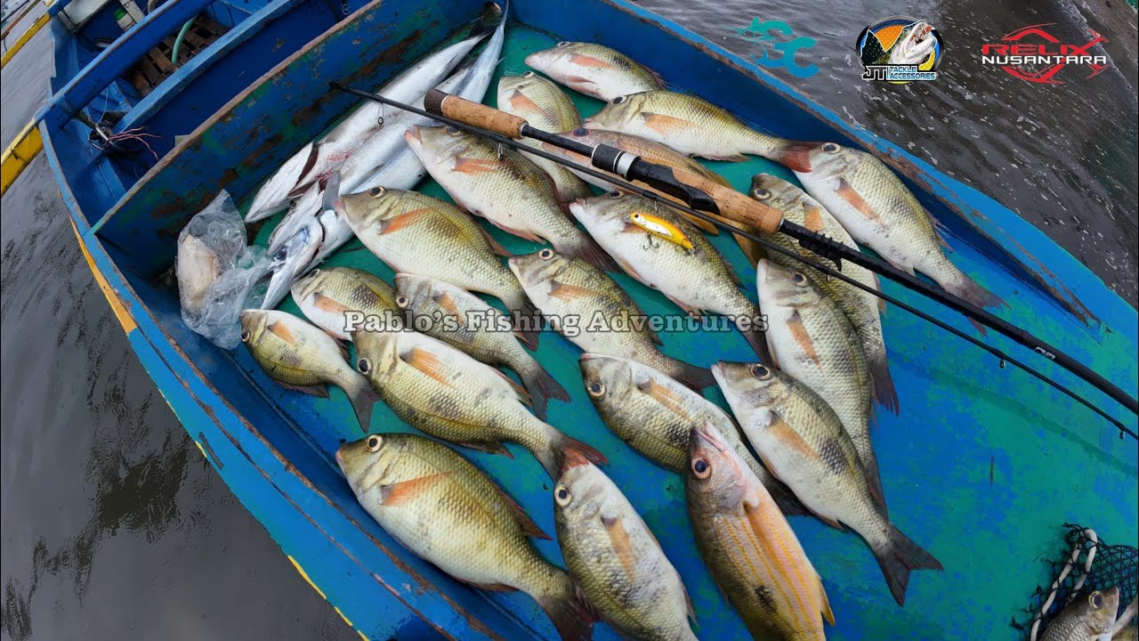 HARVEST muna Bago Matapos ang Taon 2024 | Cangkek LangLang 802 | Shore Casting | Light SetUp