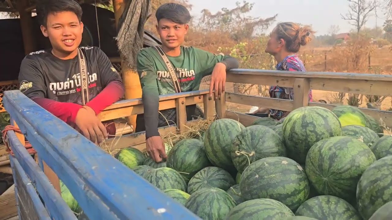 ล่าสุดแม่ใหญ่สอนกับผัวคนแตงโมมาเต็มลำรถไถมาขาย