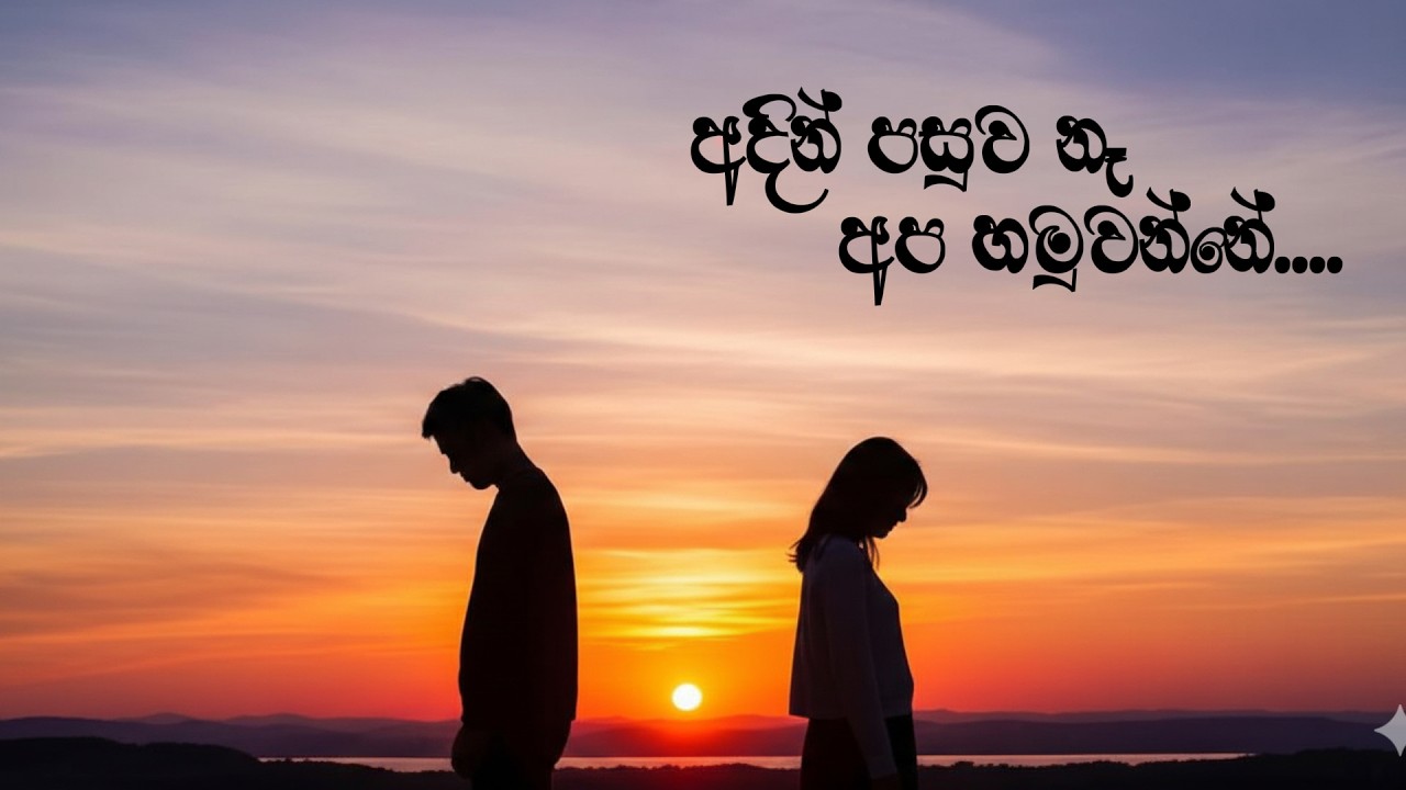 Adin pasuwa ne apa hamuwanne (අදින් පසුව නෑ )  |Sinhala Sindu| Sinhala Song #song #remix #love