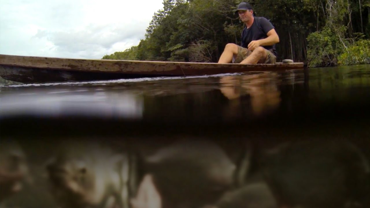 PÊCHE TRADITIONNELLE DE PIRANHAS ULTRA VORACES - Cyril Chauquet
