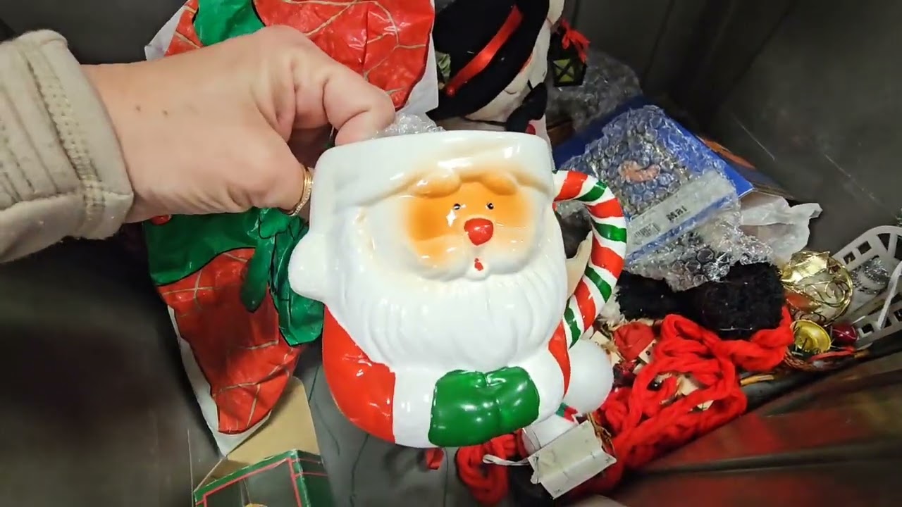О нет, это снова случилось со мной в Goodwill Bins.