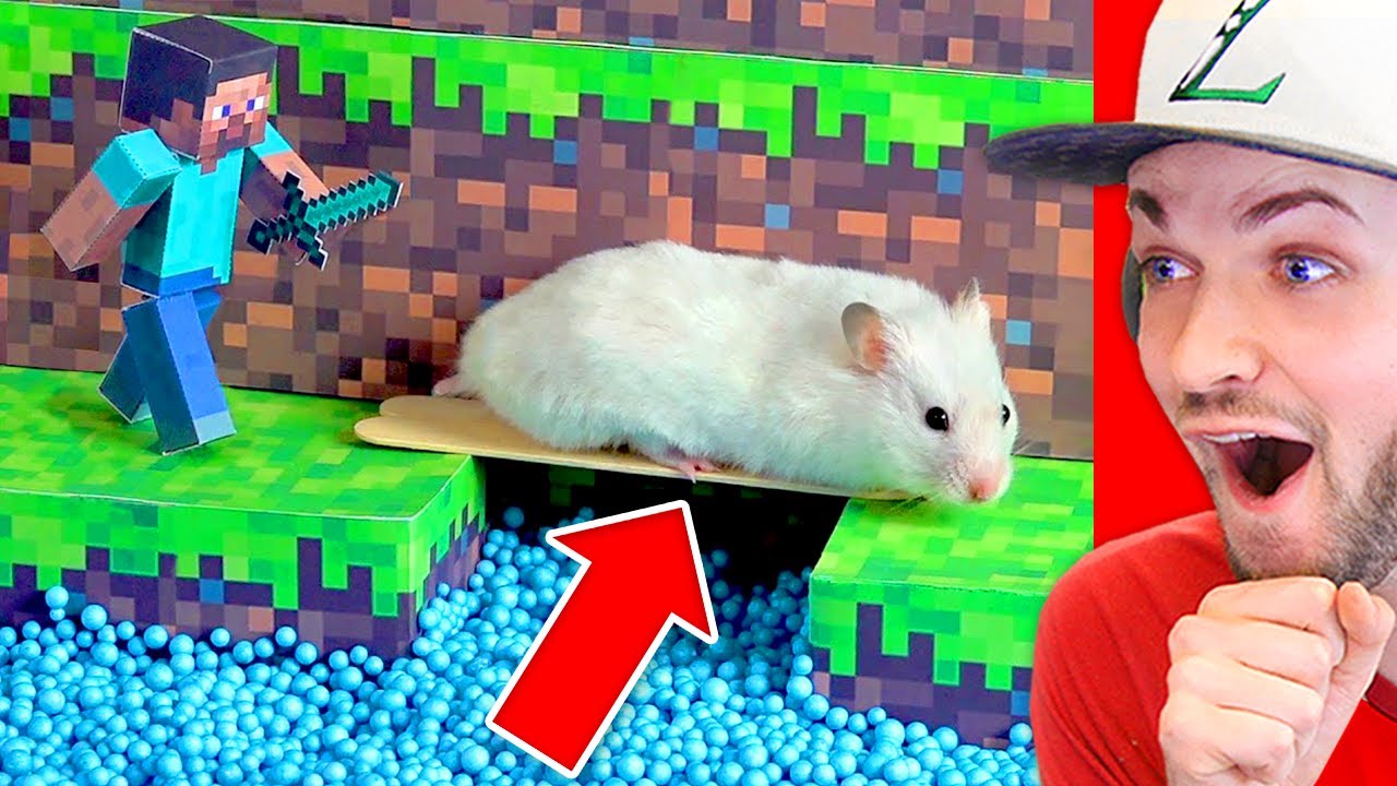 ЛУЧШИЙ в мире* лабиринт для хомяков в Minecraft! (Обязательно к просмотру)