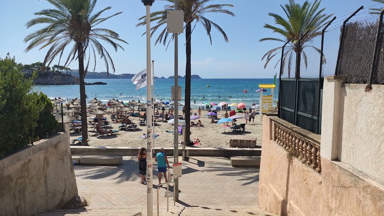 Mallorca 2021 : Paguera, Cala Fornells, Camp de Mar