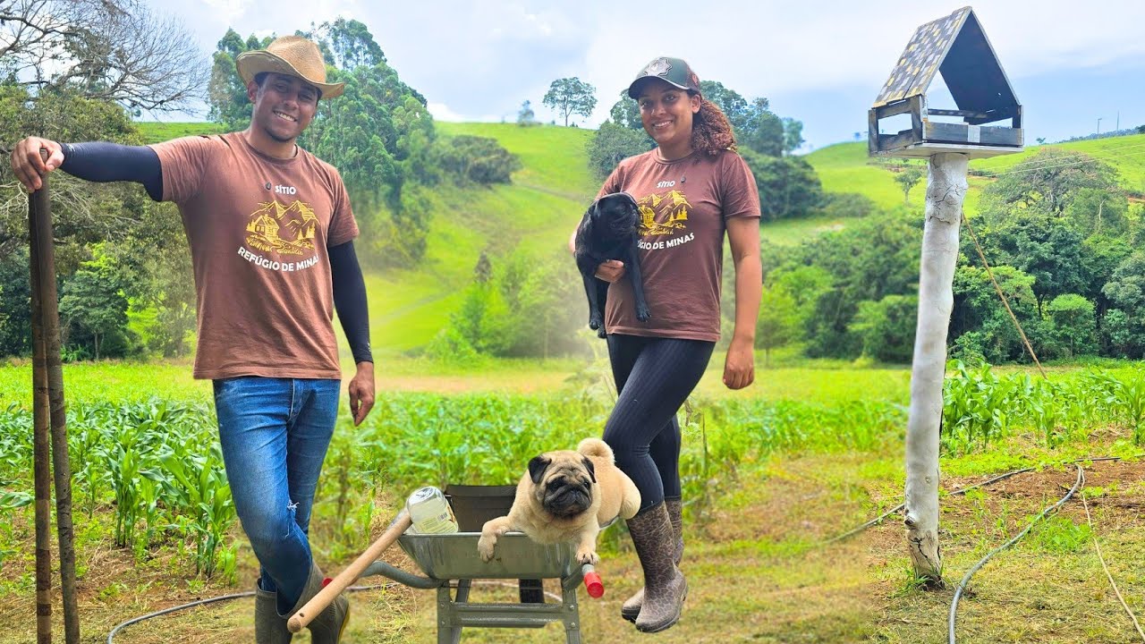 Um dia de surpresas no SÍTIO ABANDONADO! Simplicidade na Roça!