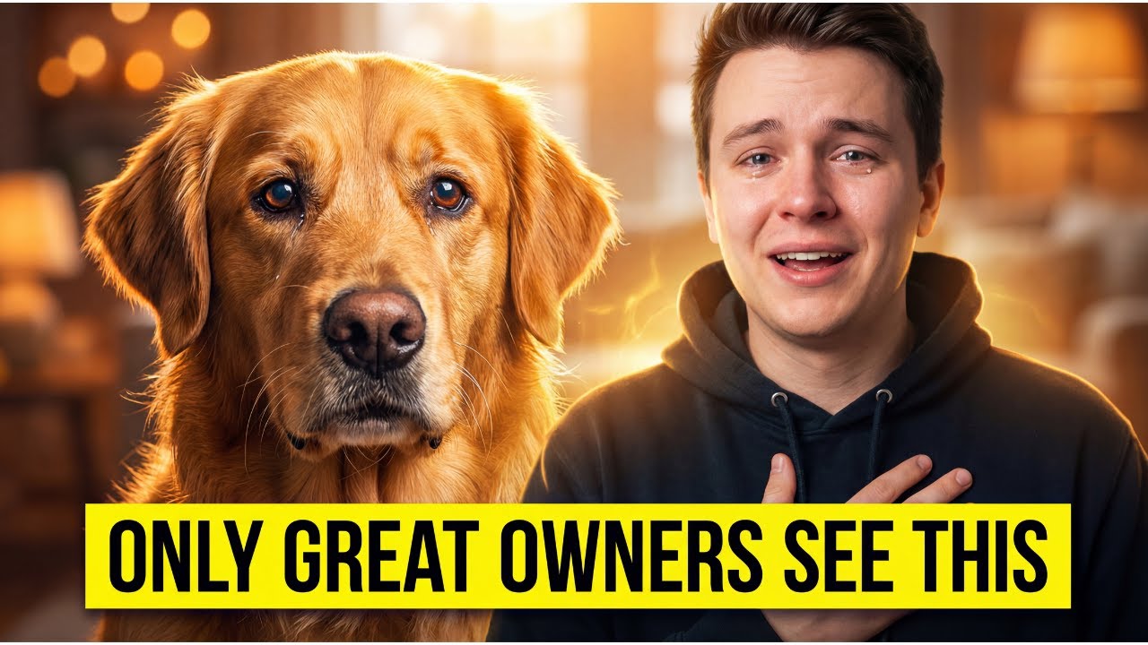 19 Rare Things Dogs Only Do for Truly GREAT Owners