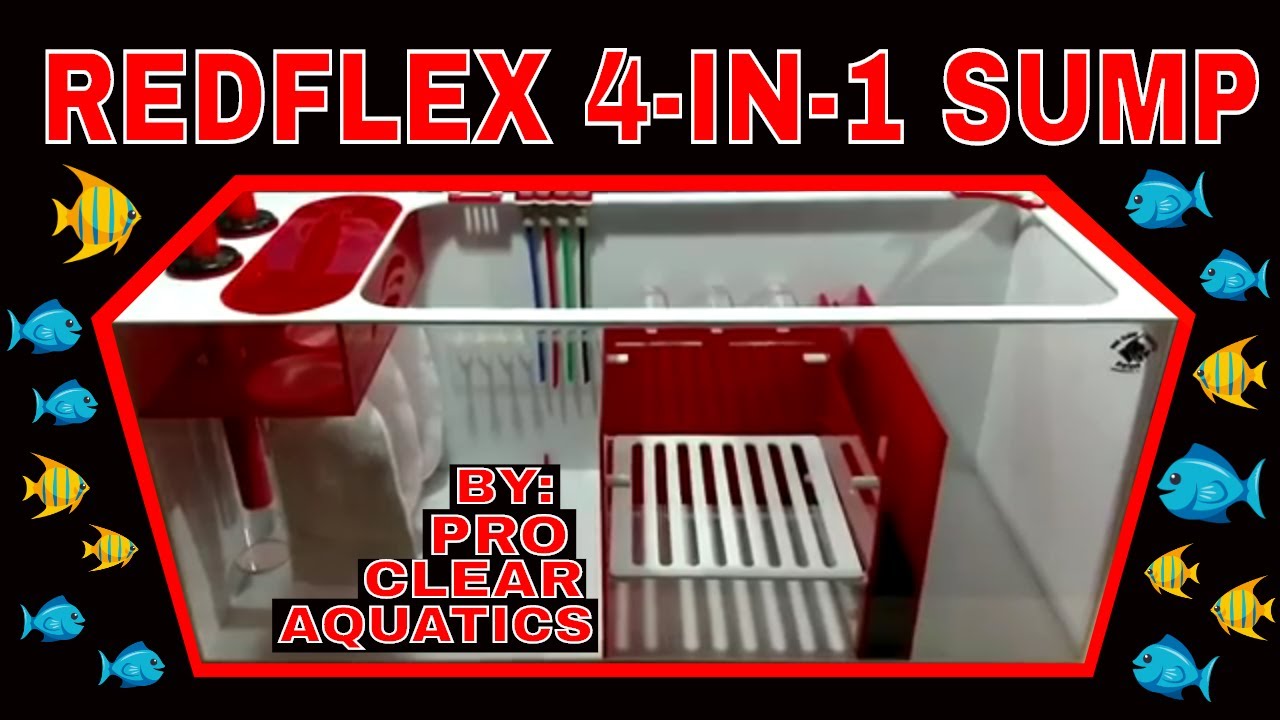 Custom Acrylic Sump - Redflex 4 in 1 - Pro Clear Aquatics
