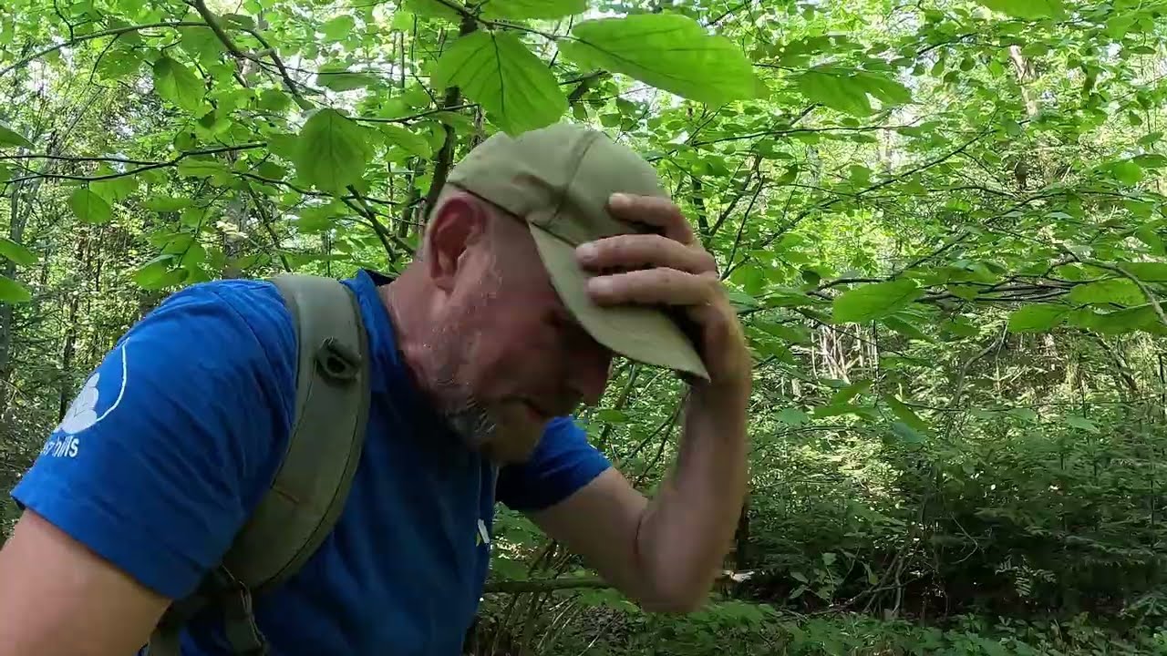 У таку спеку стільки ГРИБІВ!  4 вересня, в ліс! ГРИБИ ТІШАТЬ!