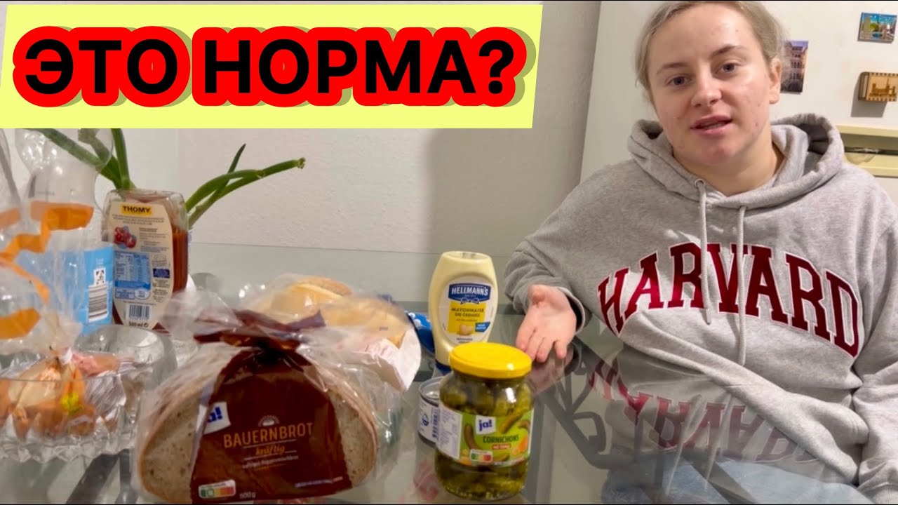 В Германии ЭТО считают нормой? Немец после Украины в шоке