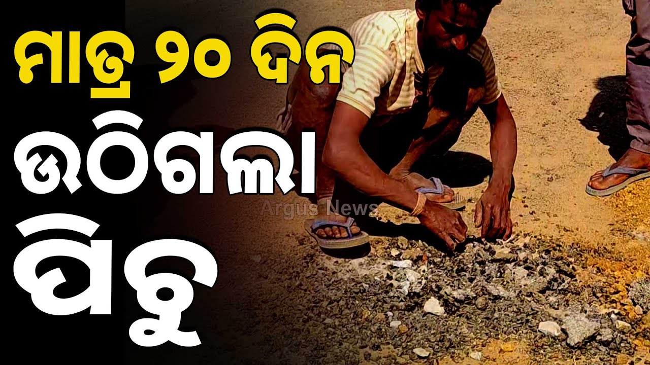 ନିର୍ମାଣର ୨୦ ଦିନରେ ଉଠିଯାଉଛି ପିଚୁ | Low Quality Work