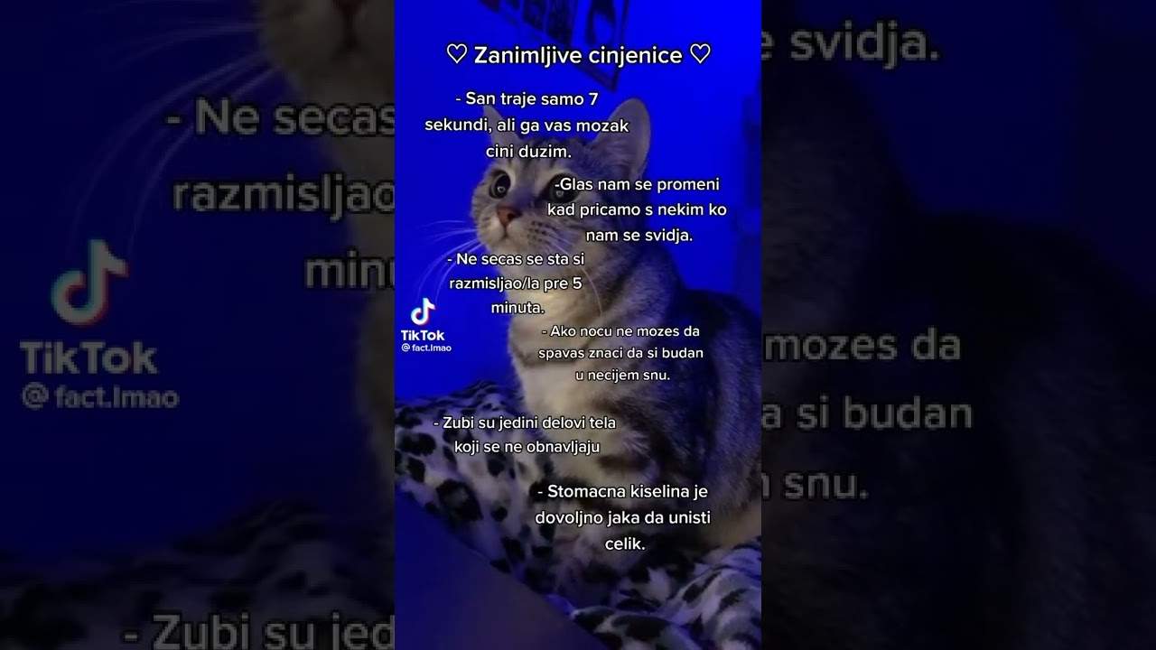 ♡zanimljive činjenice♡