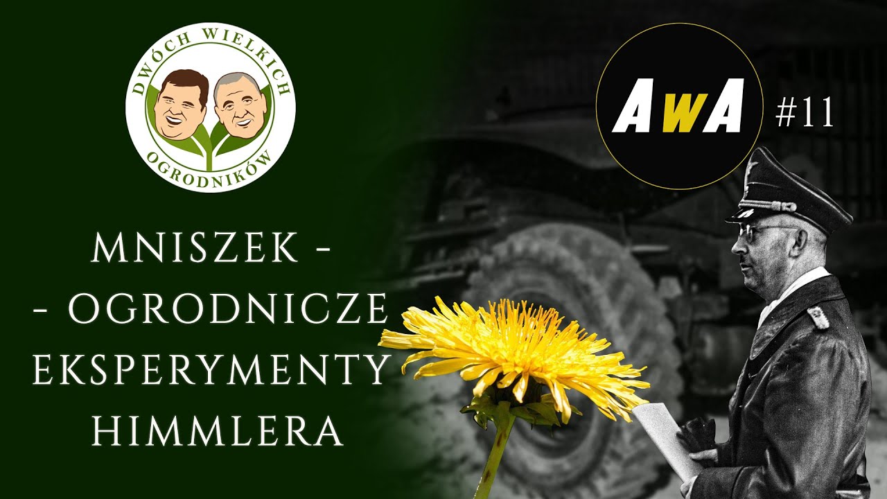 Kauczuk z mniszka. Nieudany eksperyment Himmlera. [AwA#11]